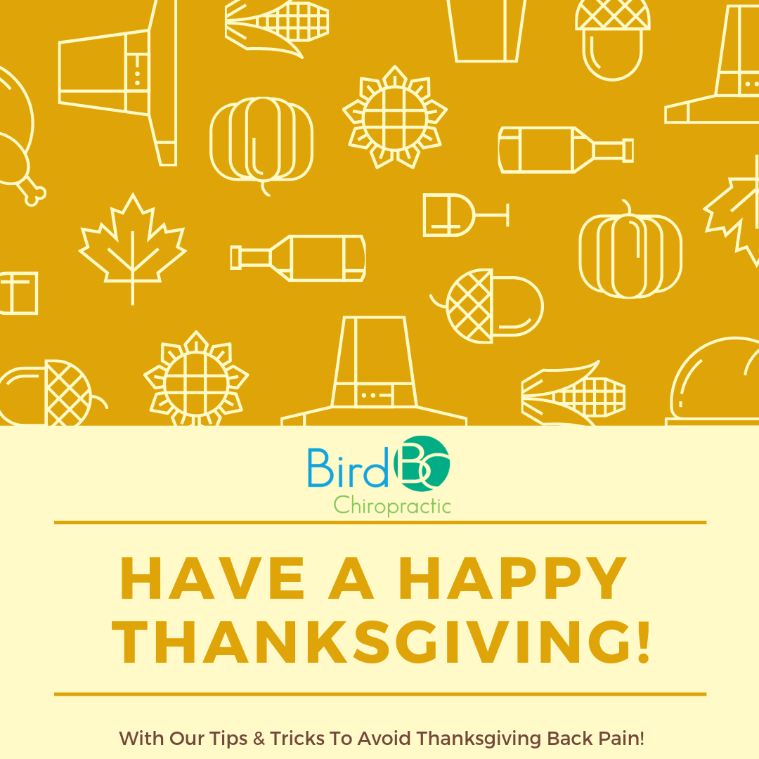 bird-chiropractic-thanksgiving.png