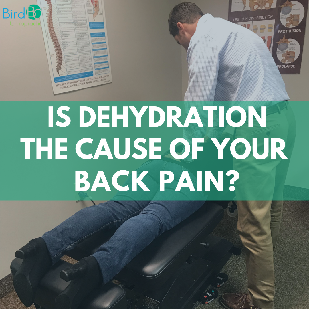 is dehydration the cause of your back pain_.png