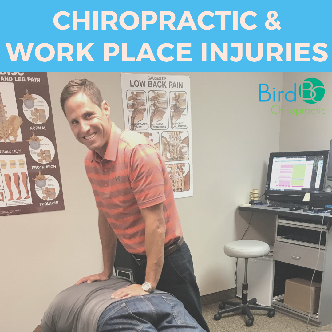 bird-chiropractic-workplace-injuries.png