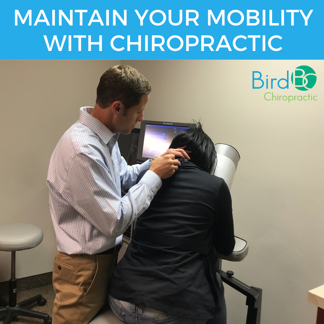 Maintain Your Mobility with Chiropractic — Bird Chiropractic Best Local Voorhees Township