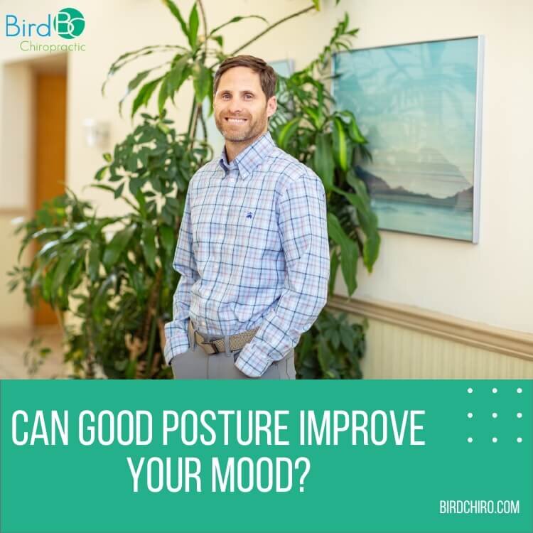 Can Good Posture Improve Your Mood? — Bird Chiropractic - Best Local  Voorhees Township Chiropractor