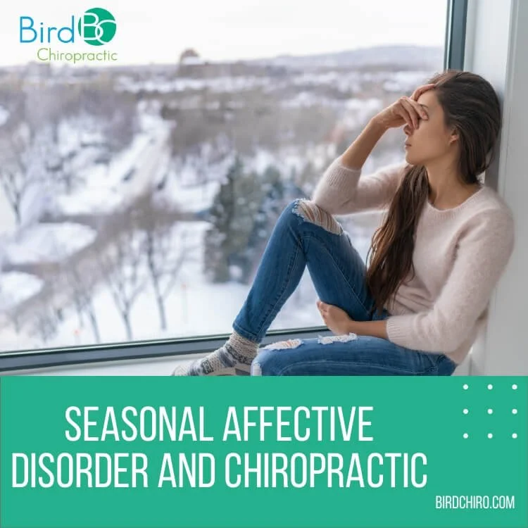 Seasonal Affective Disorder and Chiropractic — Bird Chiropractic Best Local Voorhees Township