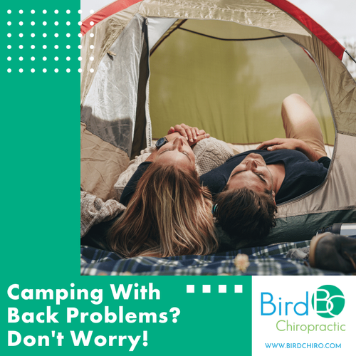 Camping With Back Problems? Don't Worry! — Bird Chiropractic Best