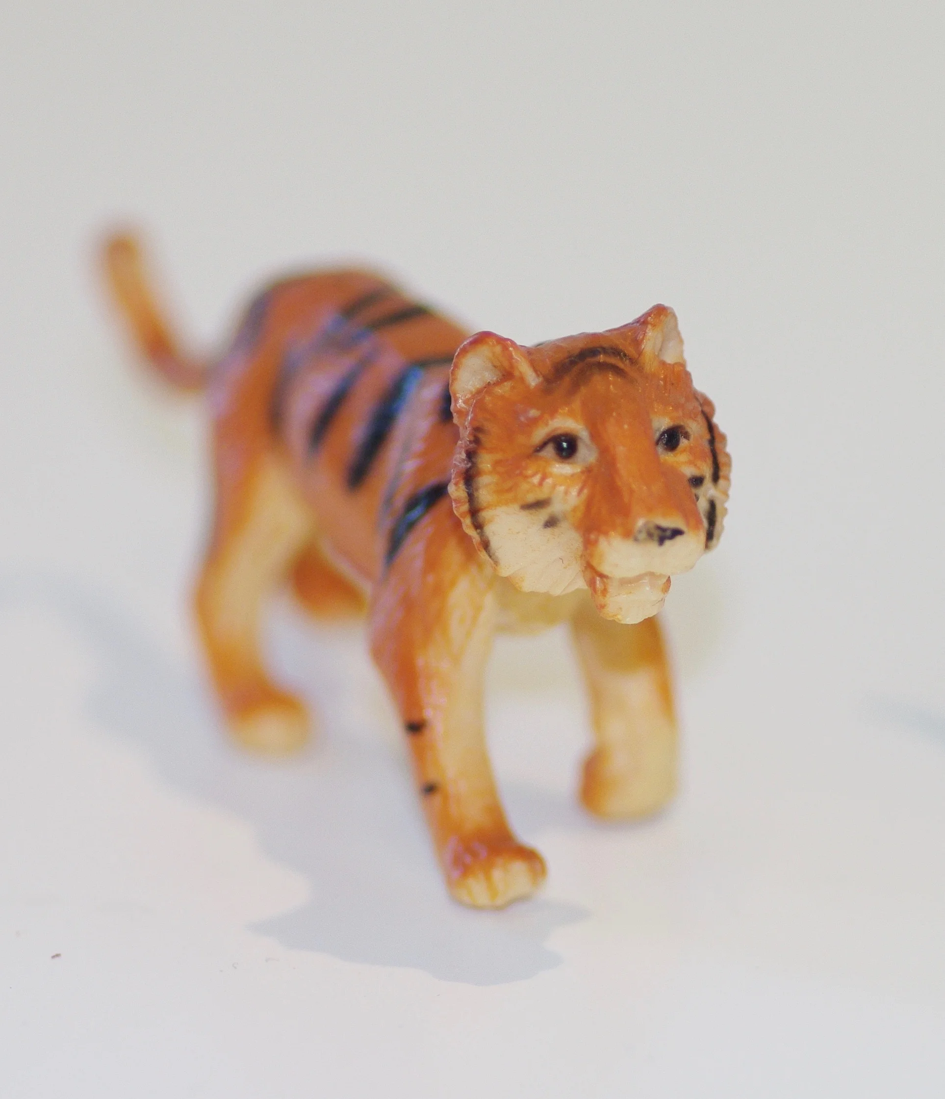 tiger.jpg