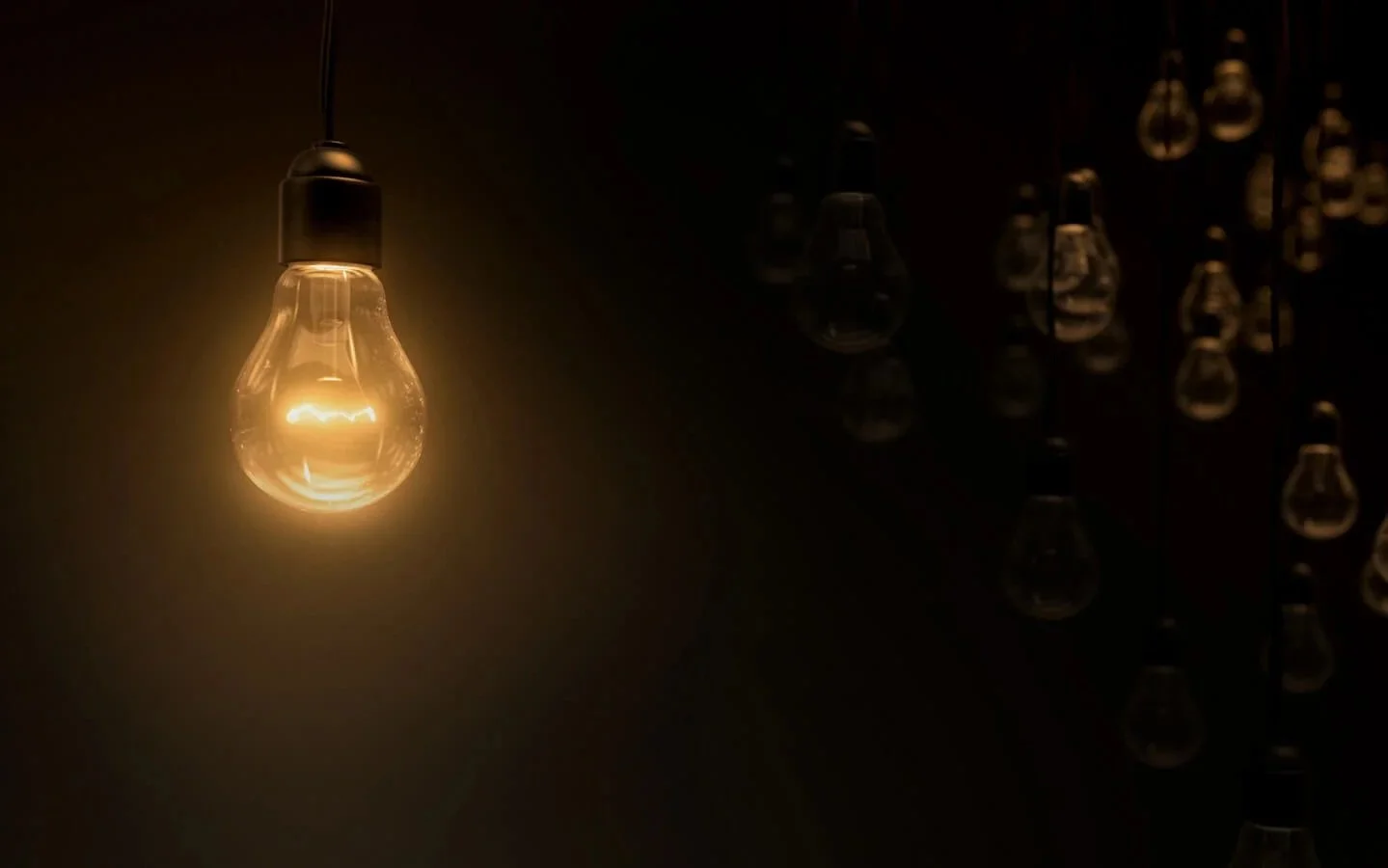 Lightblub Among Many.jpg