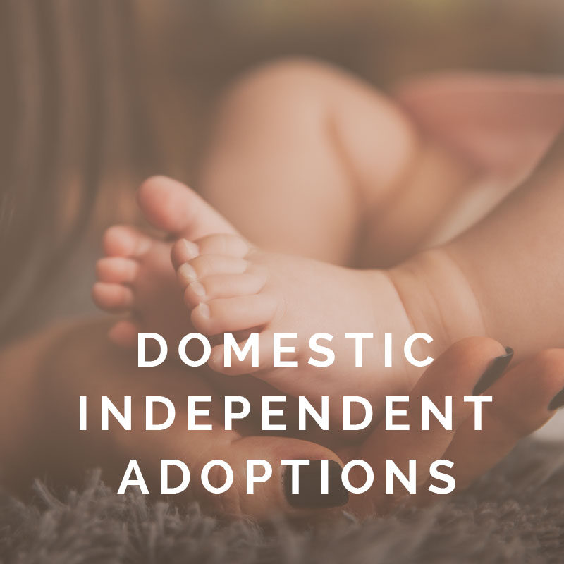Domestic Independent Adoptions