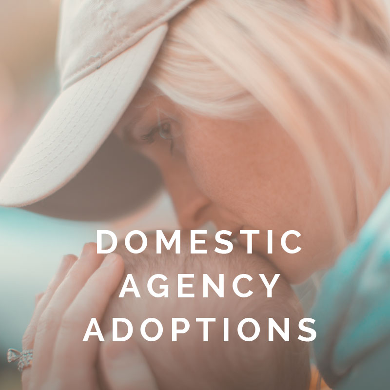 Domestic Agency Adoptions