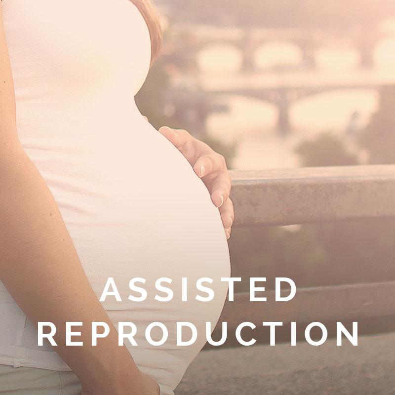  Georgia Attorney Sherriann Hicks specializes in assisted reproduction. 