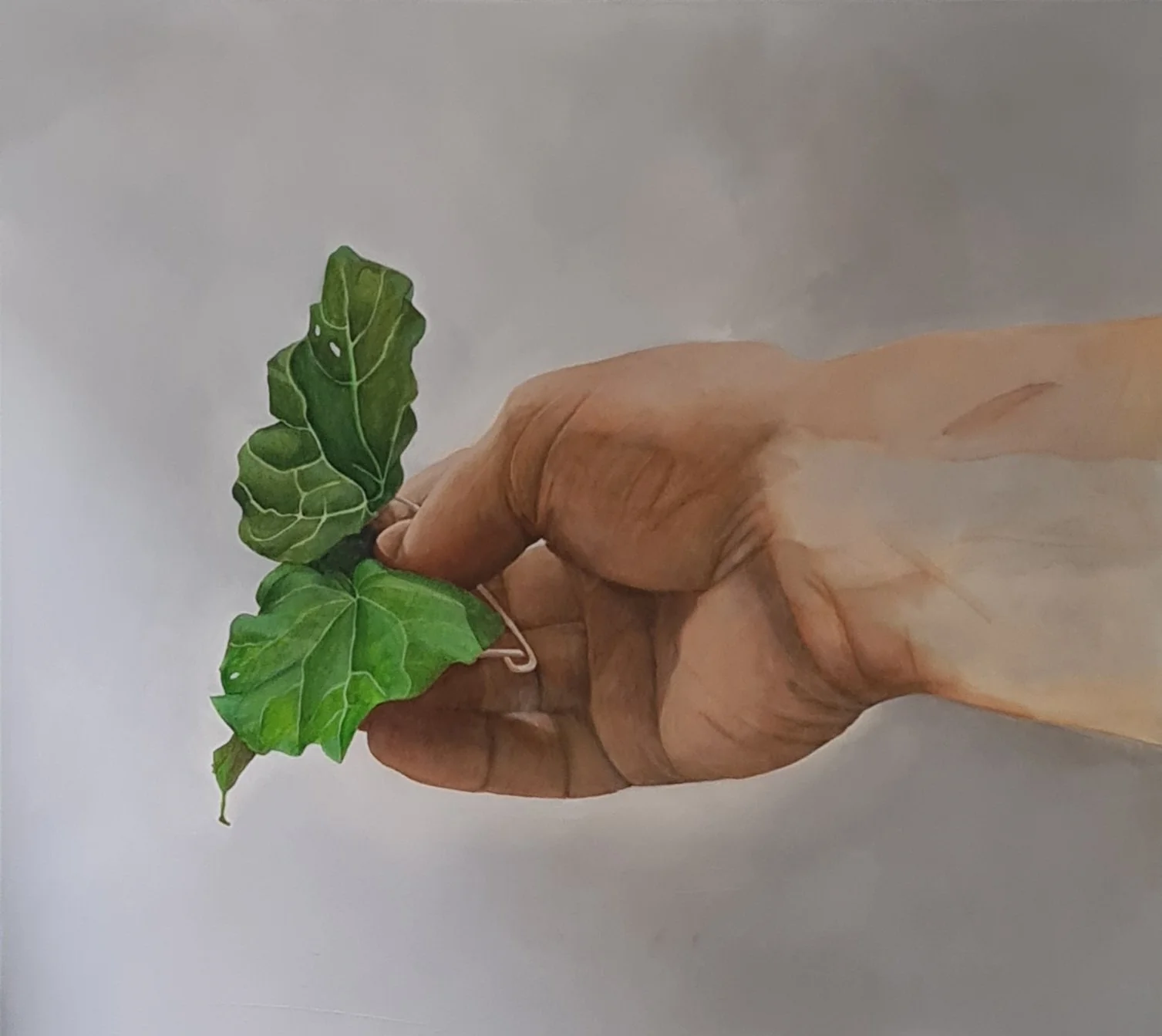 Taking up the Challenge: Wero