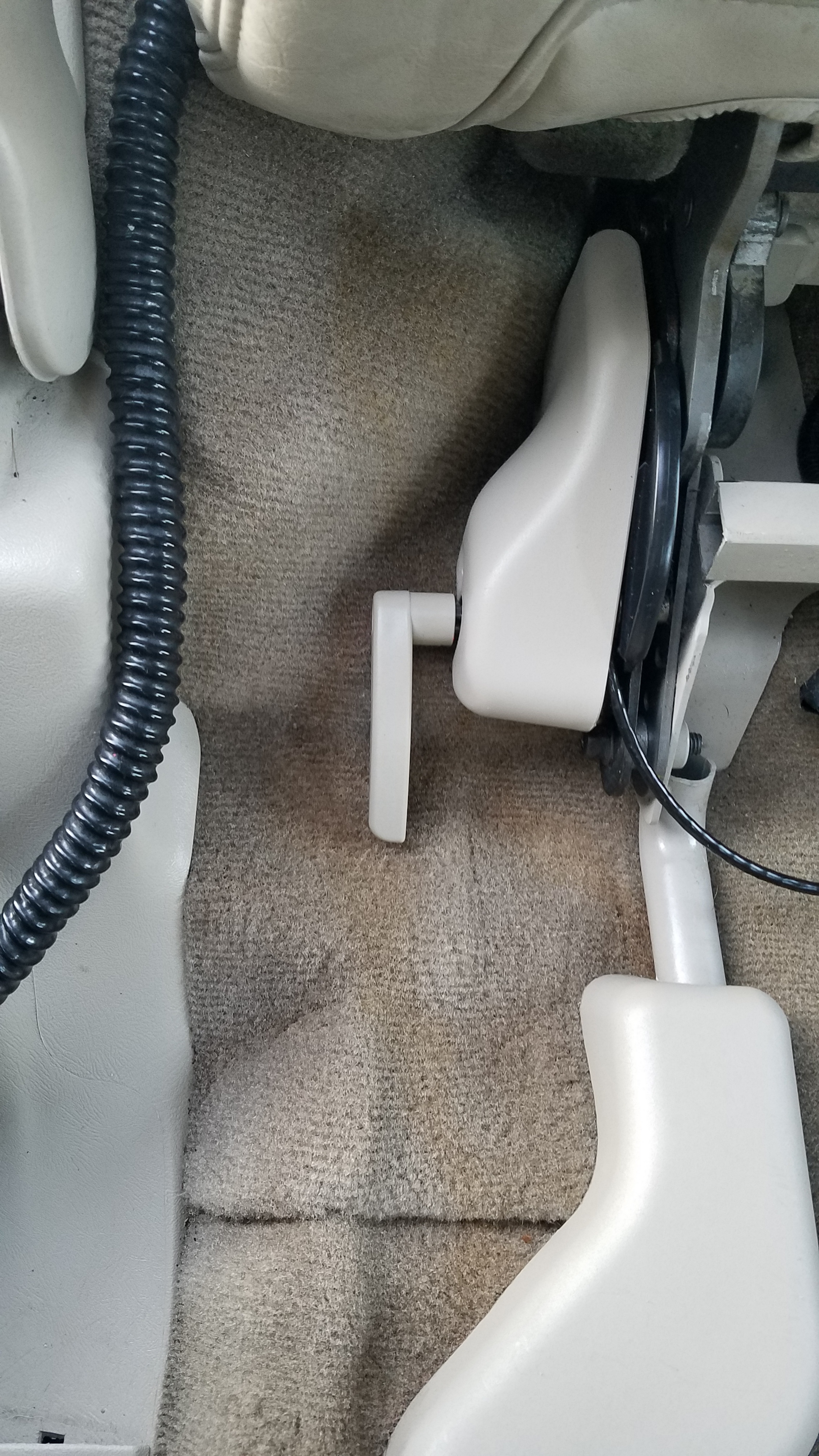 Carpet Stain After