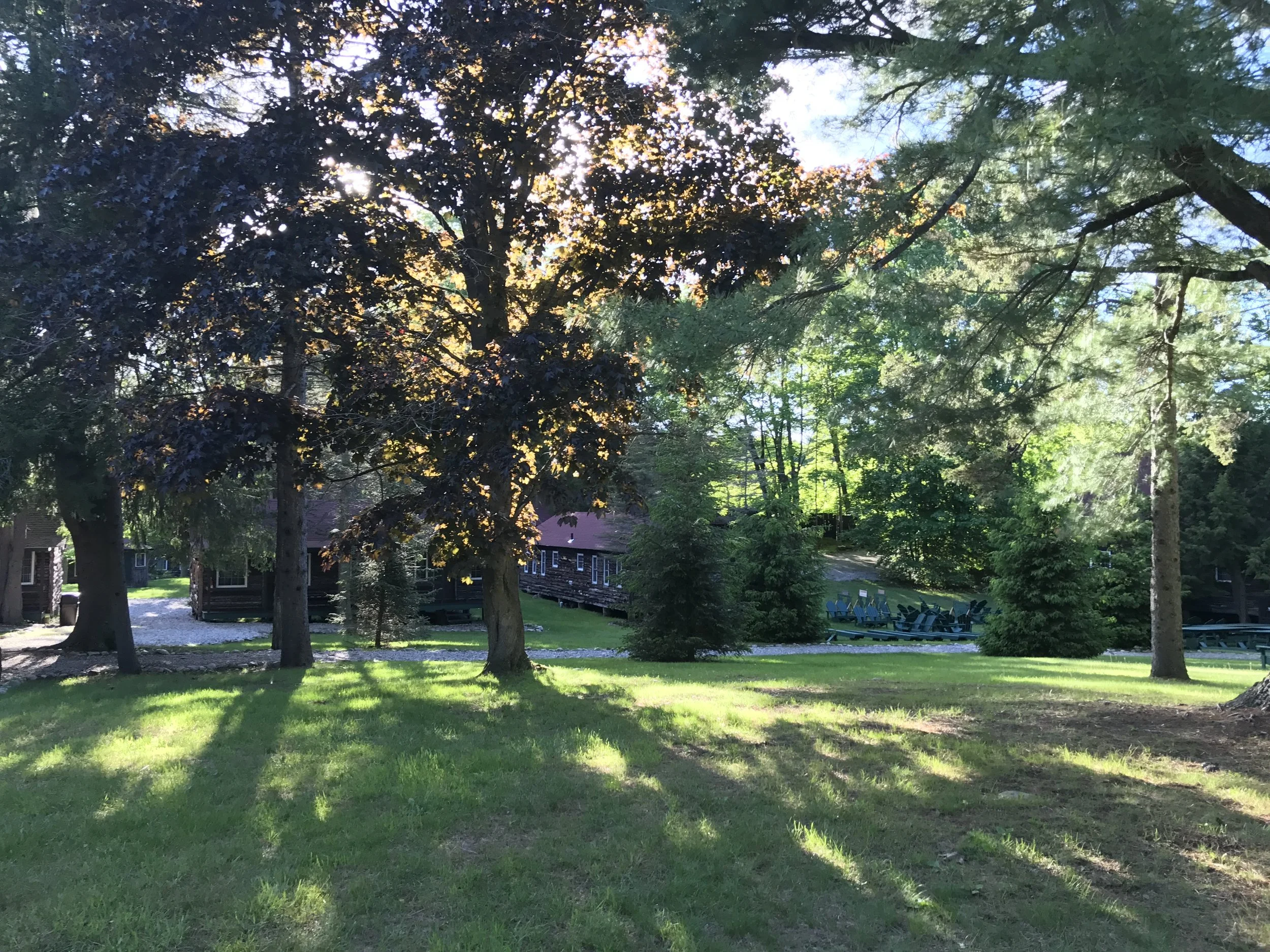 Camp: The Best/Weirdest Summer Of My Life