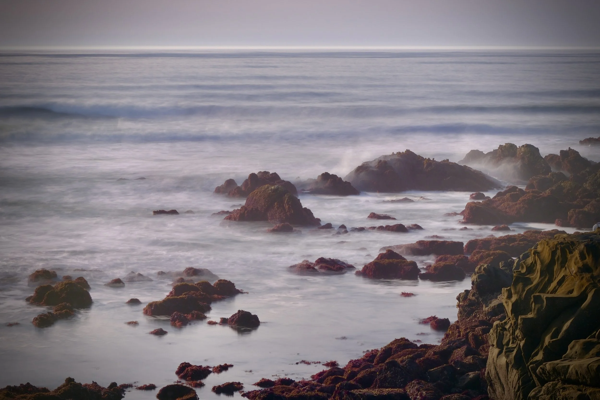 Mauricio Mayorga Vallejo 