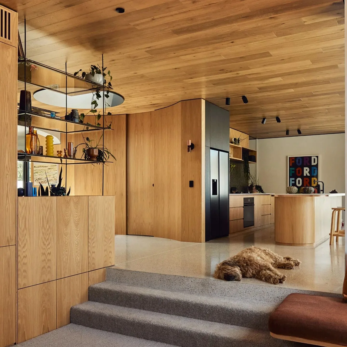 Sunday afternoon in the pit @ The bridge house with Augie. 

@basisbuilders 
@peterbbennetts 
@jesskneebone 
@evolve_interiors 

#melbournearchitectureanddesign 
#caulfieldmodern 
#biophilicdesign 
#timberinconstruction 
#sunkenpit