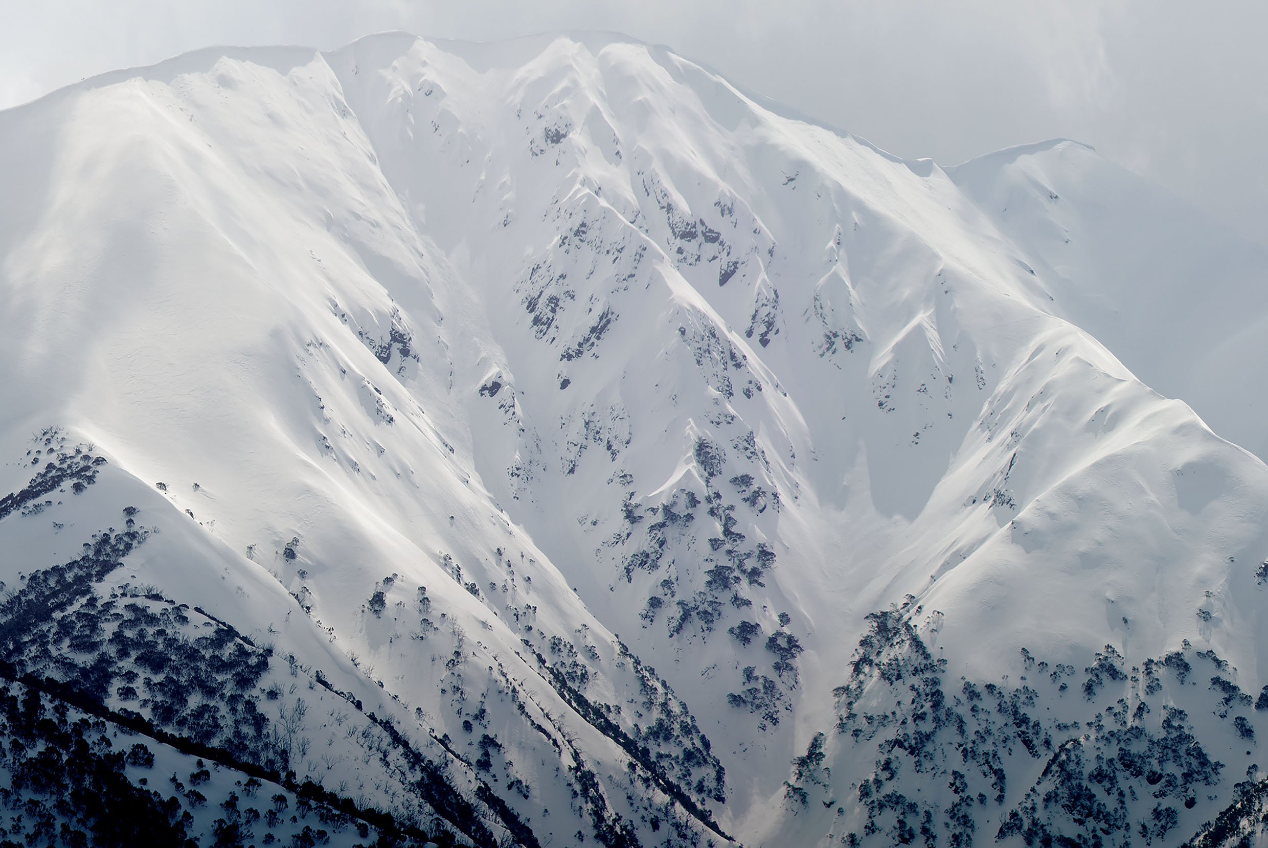 A2_Feathertop.jpg