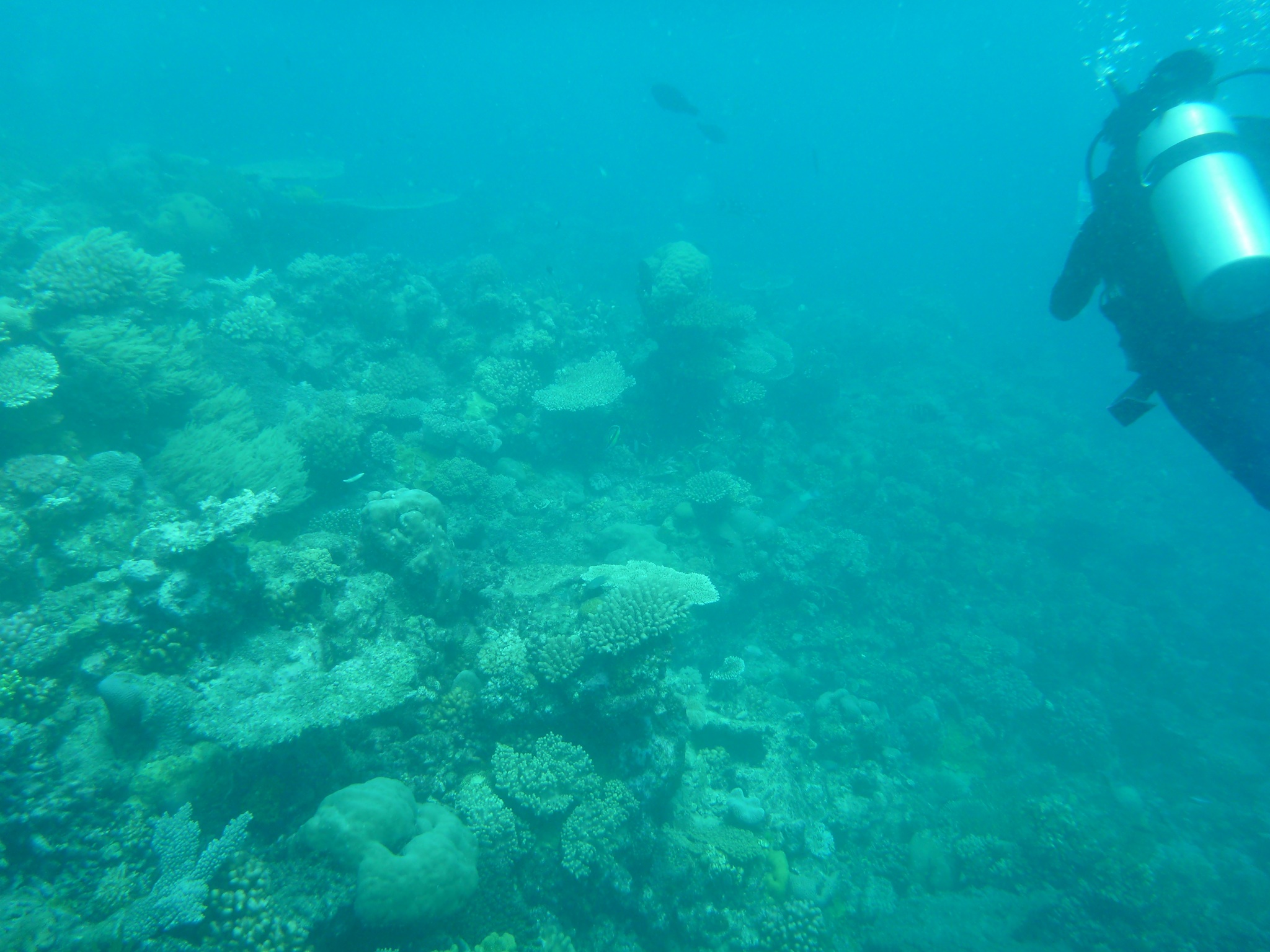 Great Barrier Reef