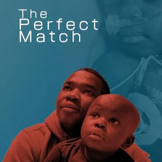 THE PERFECT MATCH