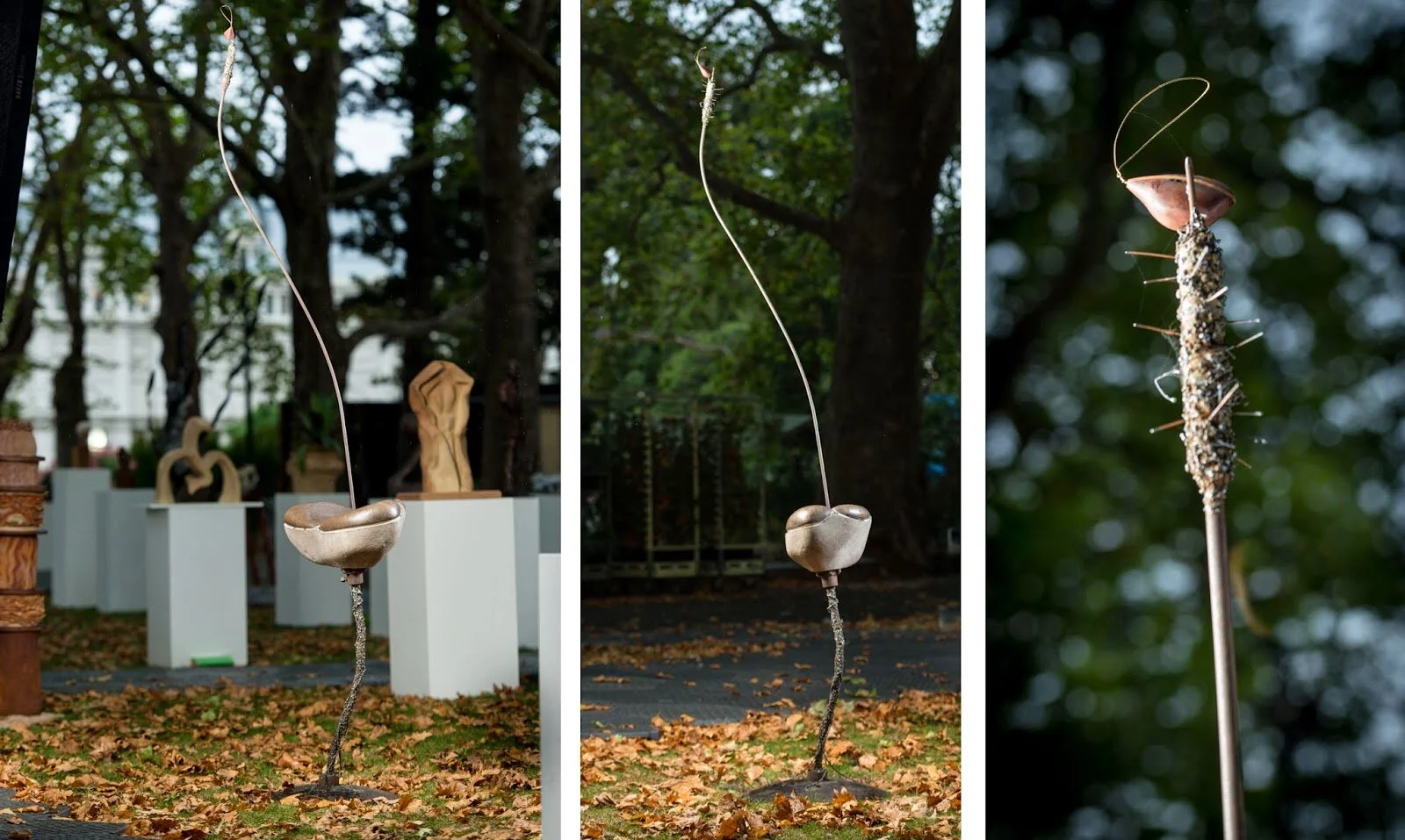 Polished Flower, Melbourne Flower and Garden Show Exhibition - Winner- 2015
