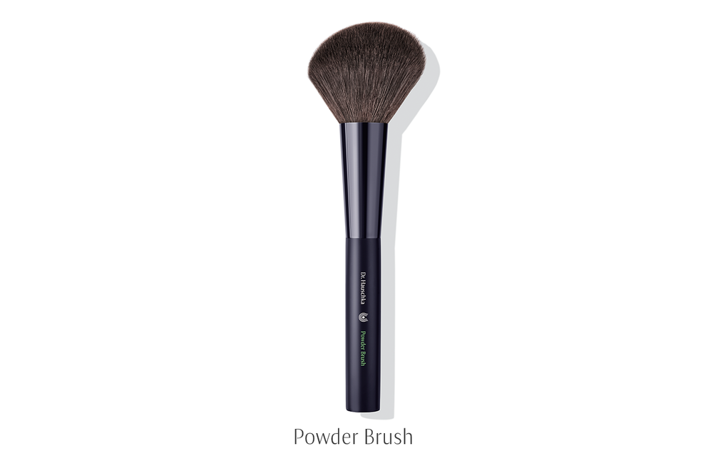 DH-Powder-Brush.png,