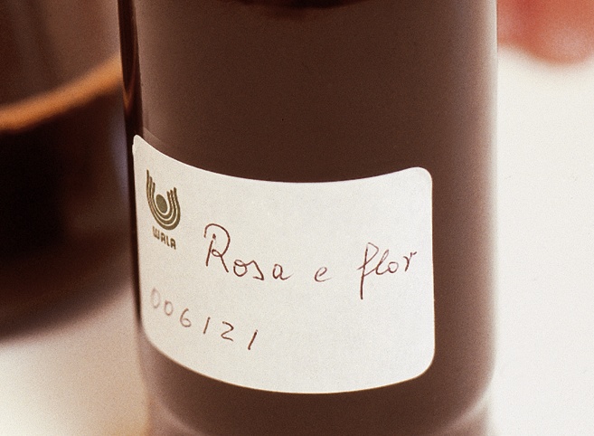Rose mother tincture