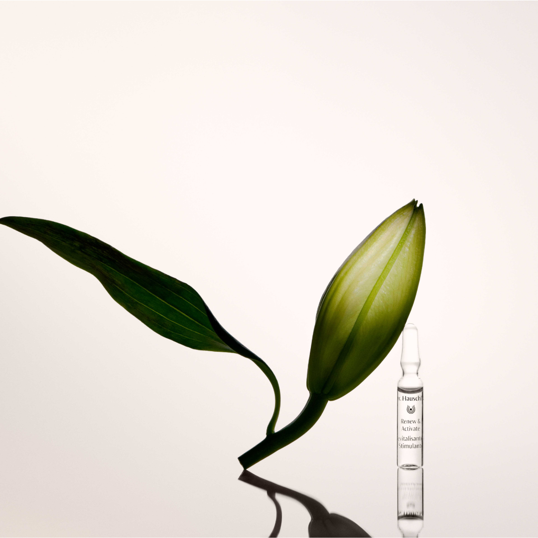 RenewAmpoules6 (2).png