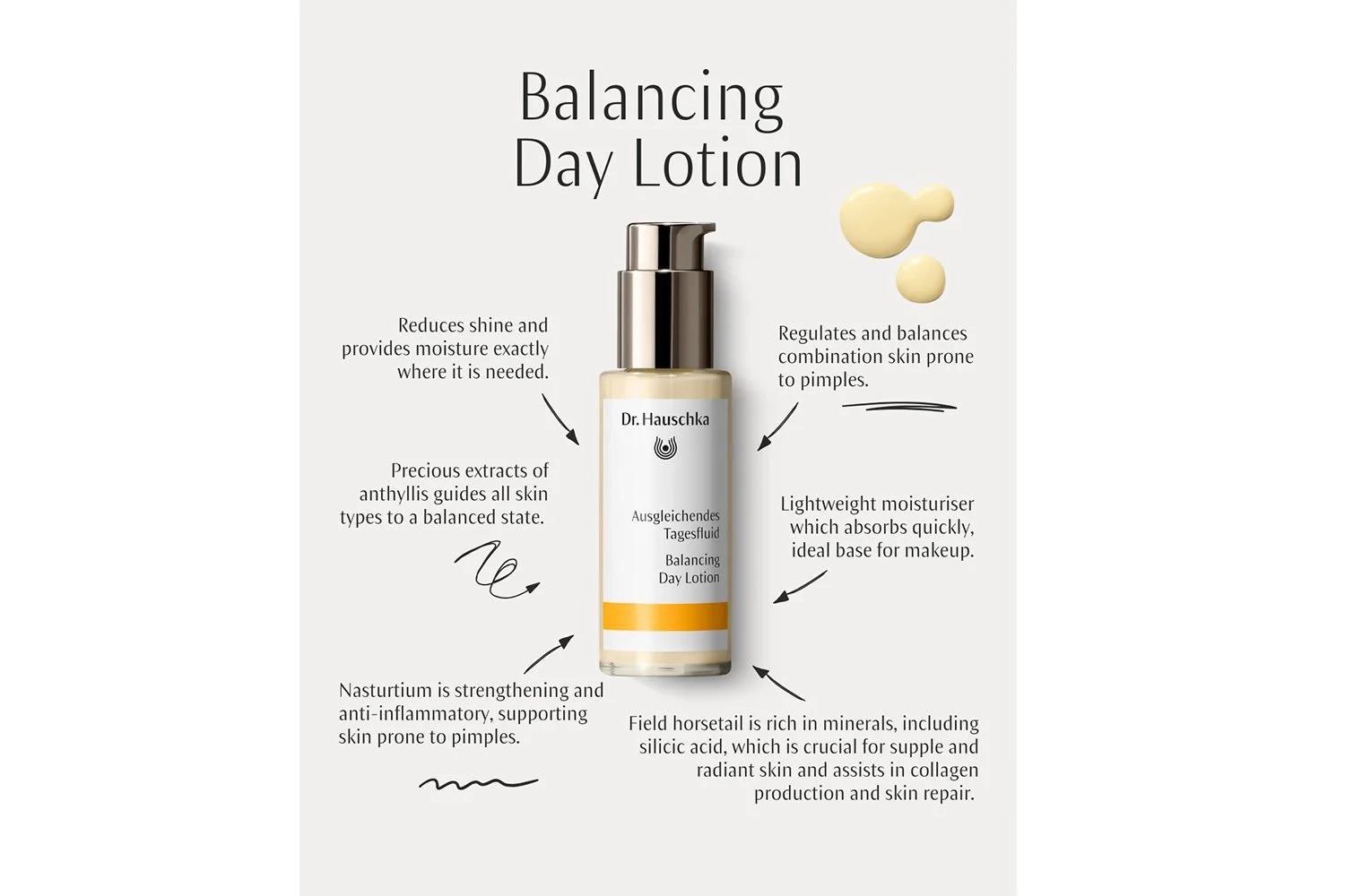 Dr. Hauschka Balancing Day Lotion infographic 28-1-2026.jpg