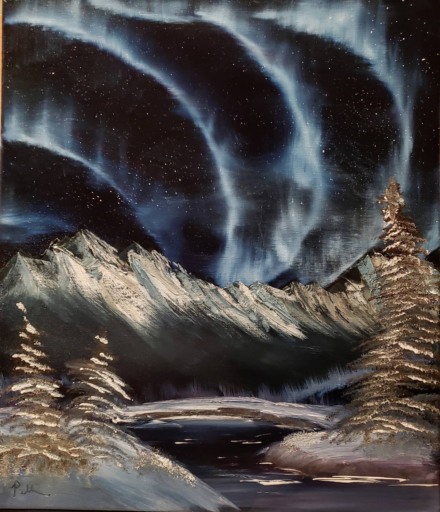 My first attempt at an Aurora! What do you think? I probably should have googled what Aurora's look like before painting this but I still think it looks cool 😂
Head over to @coastalcraftcircuit  on #Etsy for more! .
.
.
.
#handmade #painting #bobros
