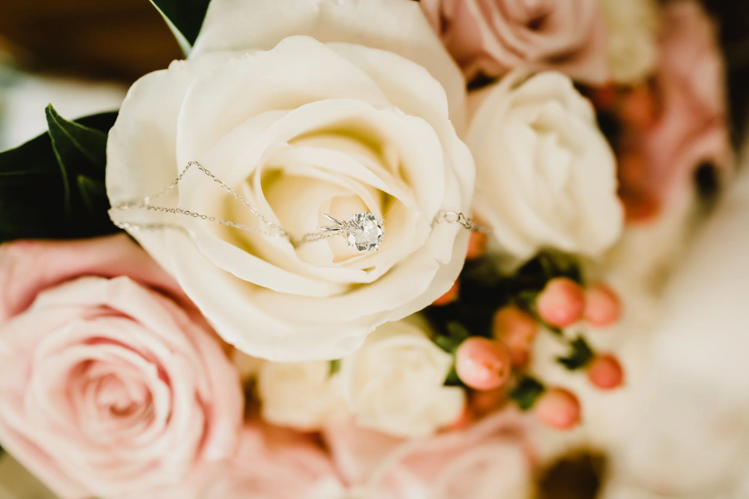 Details-05868.jpg