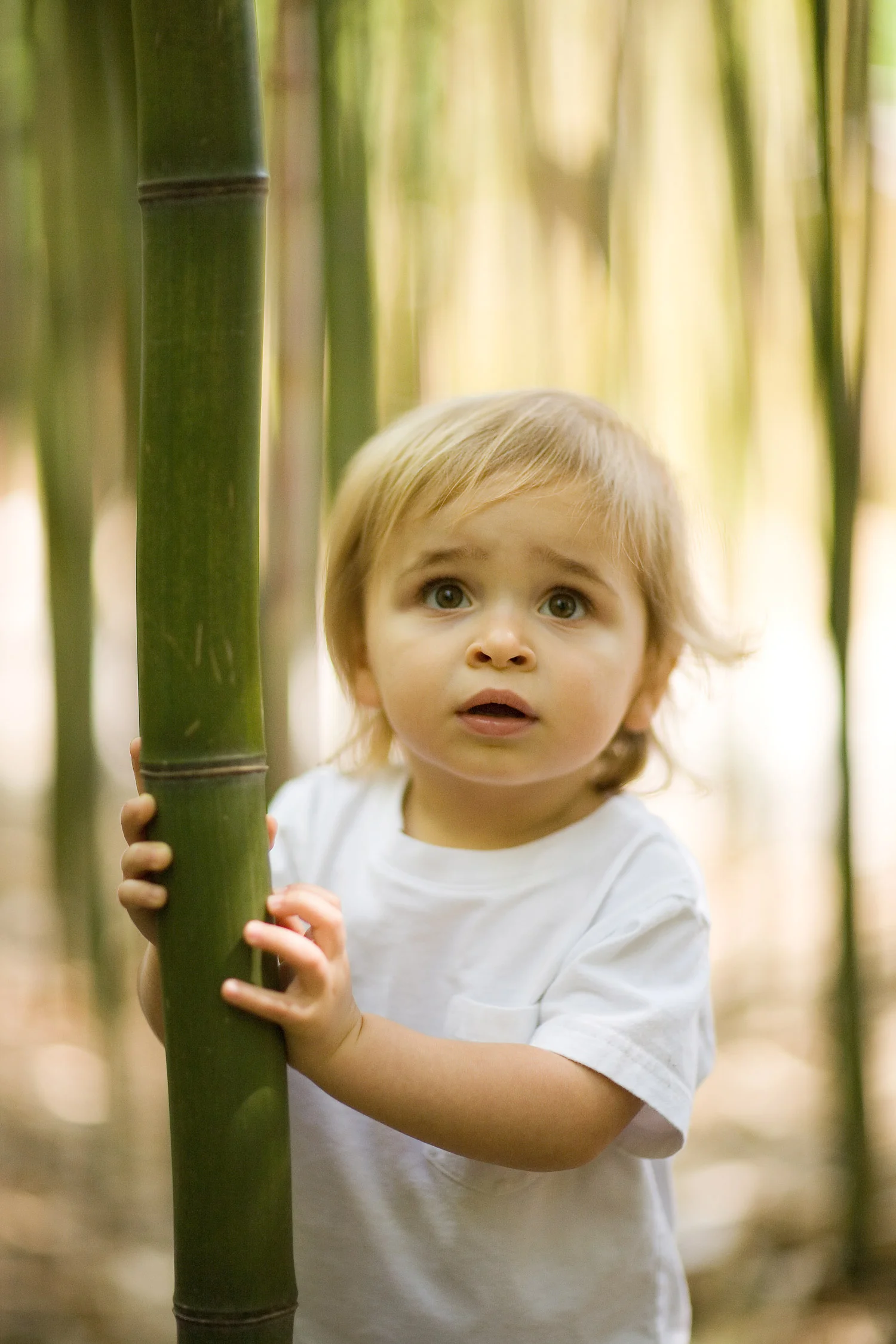 bamboo_boy.jpg