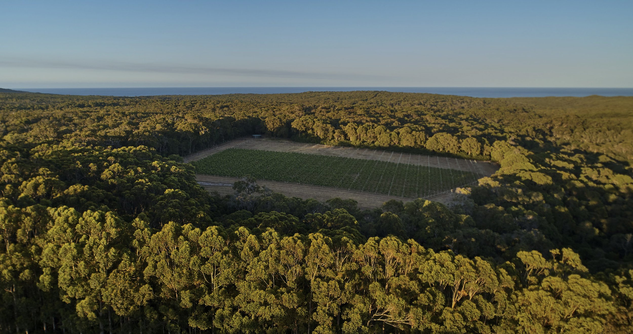  Find us under the Marri tree. There’s the perfect conditions for growing grapes. Drinking them too.   Corymbia. The nature of wine.  