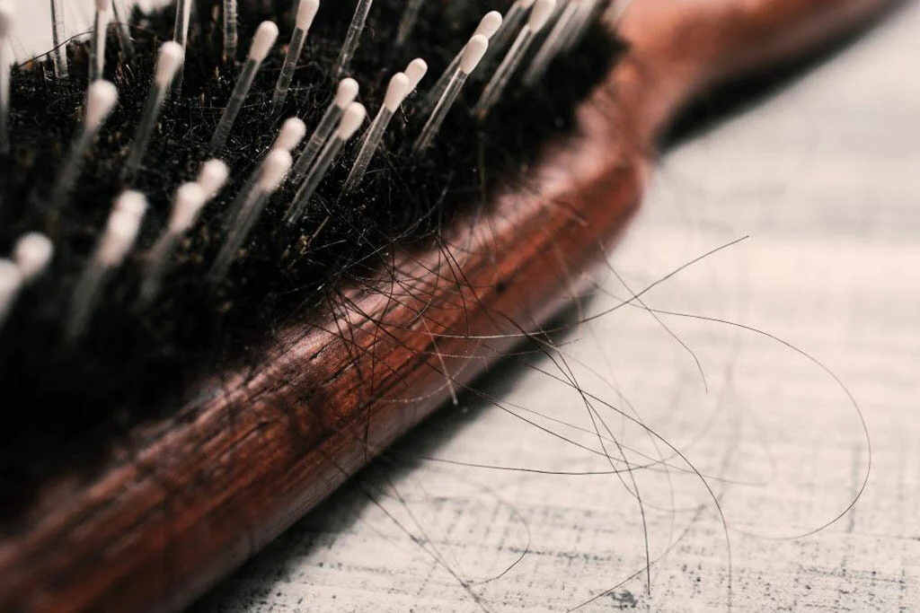 gucci bloom priceline