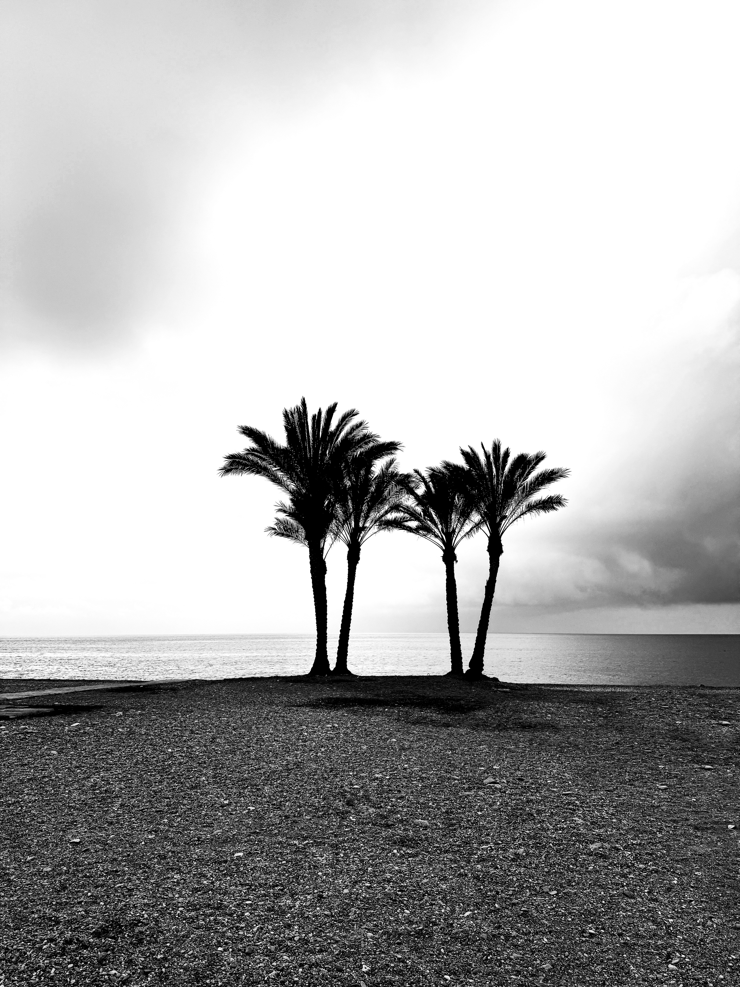Almuñécar Costa Tropical | Spain