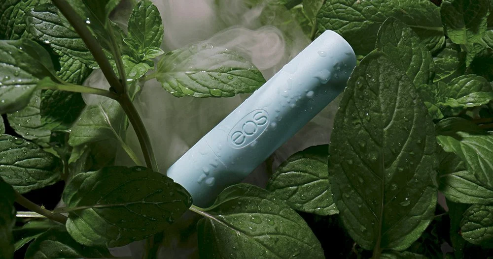 Sweet+Mint+Stick+Steam Small.jpg