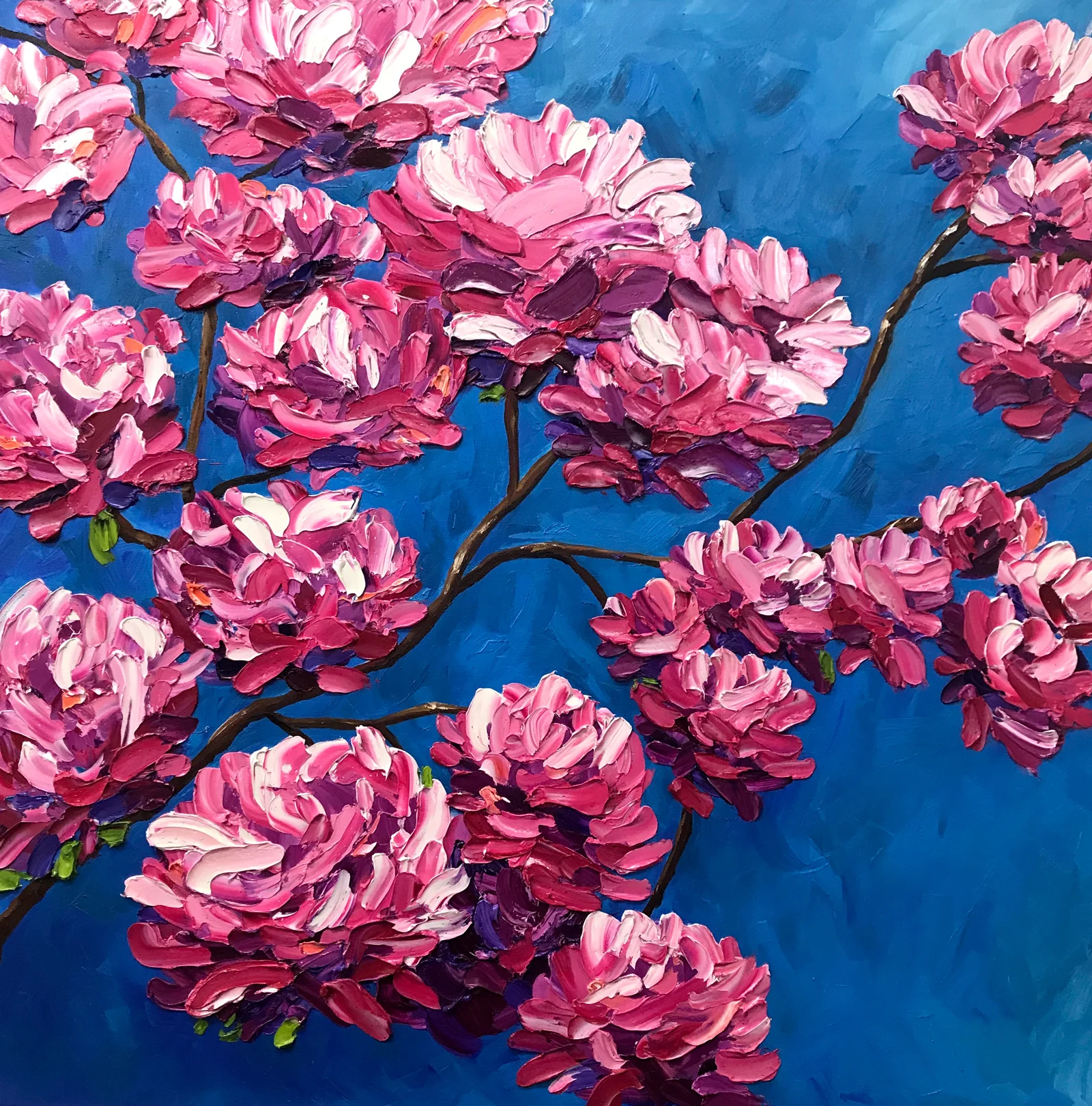 TABEBUIA IN FULL BLOOM