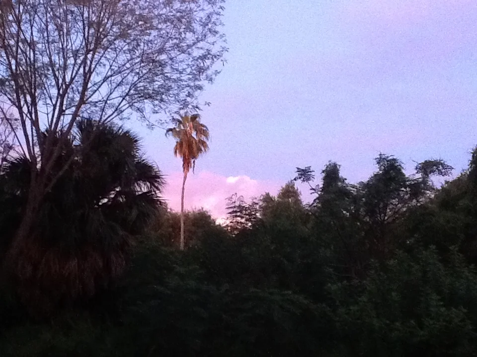  “¿CÓMO AMANECIÓ?”