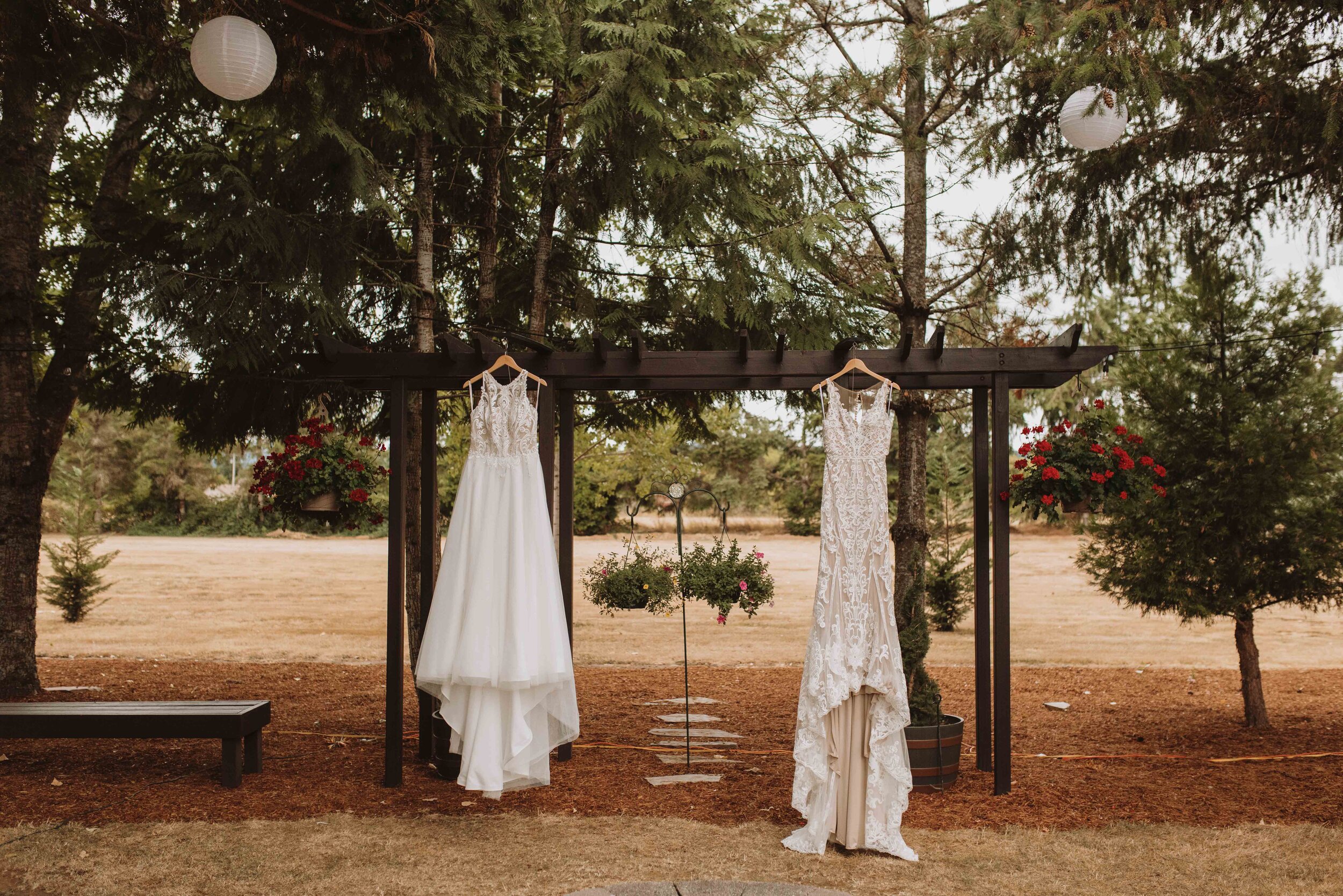 molly-alix-backyard-warren-oregon-wedding-2021-2.jpg