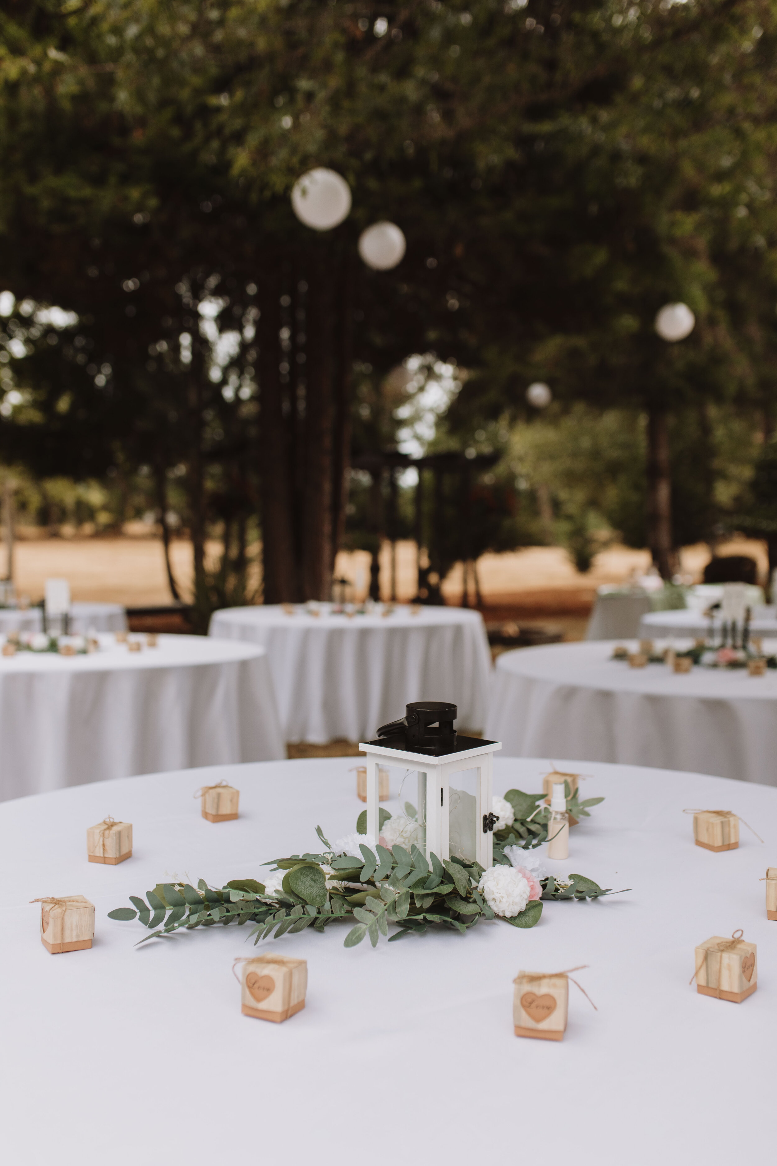 molly-alix-backyard-warren-oregon-wedding-2021-61.jpg