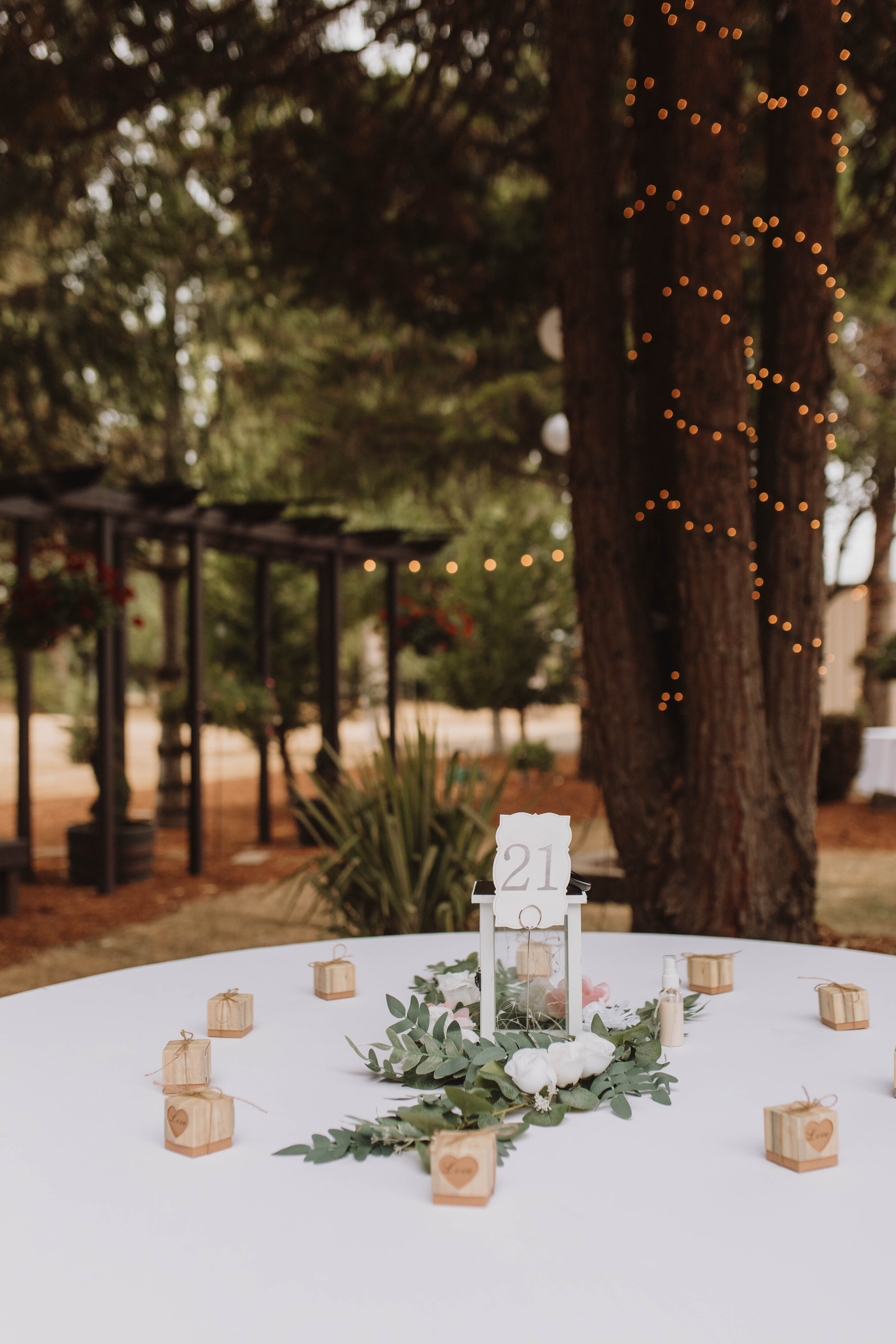 molly-alix-backyard-warren-oregon-wedding-2021-73.jpg