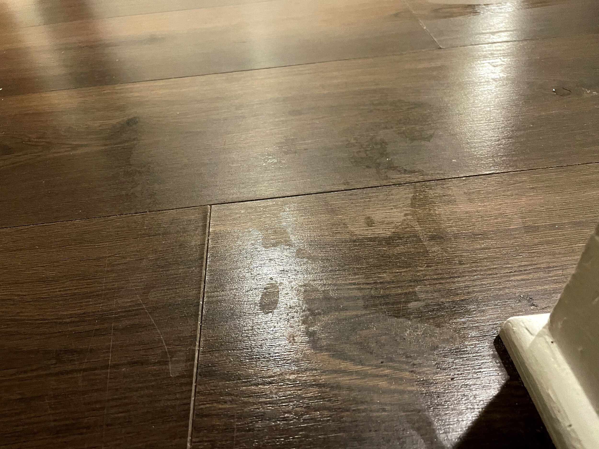 IMG_0847.jpeg
