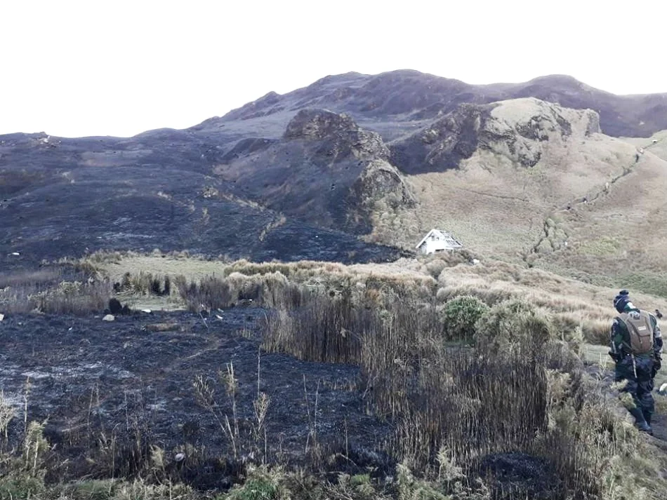Mt. Pulag after the 2018 grassfire. Image via .