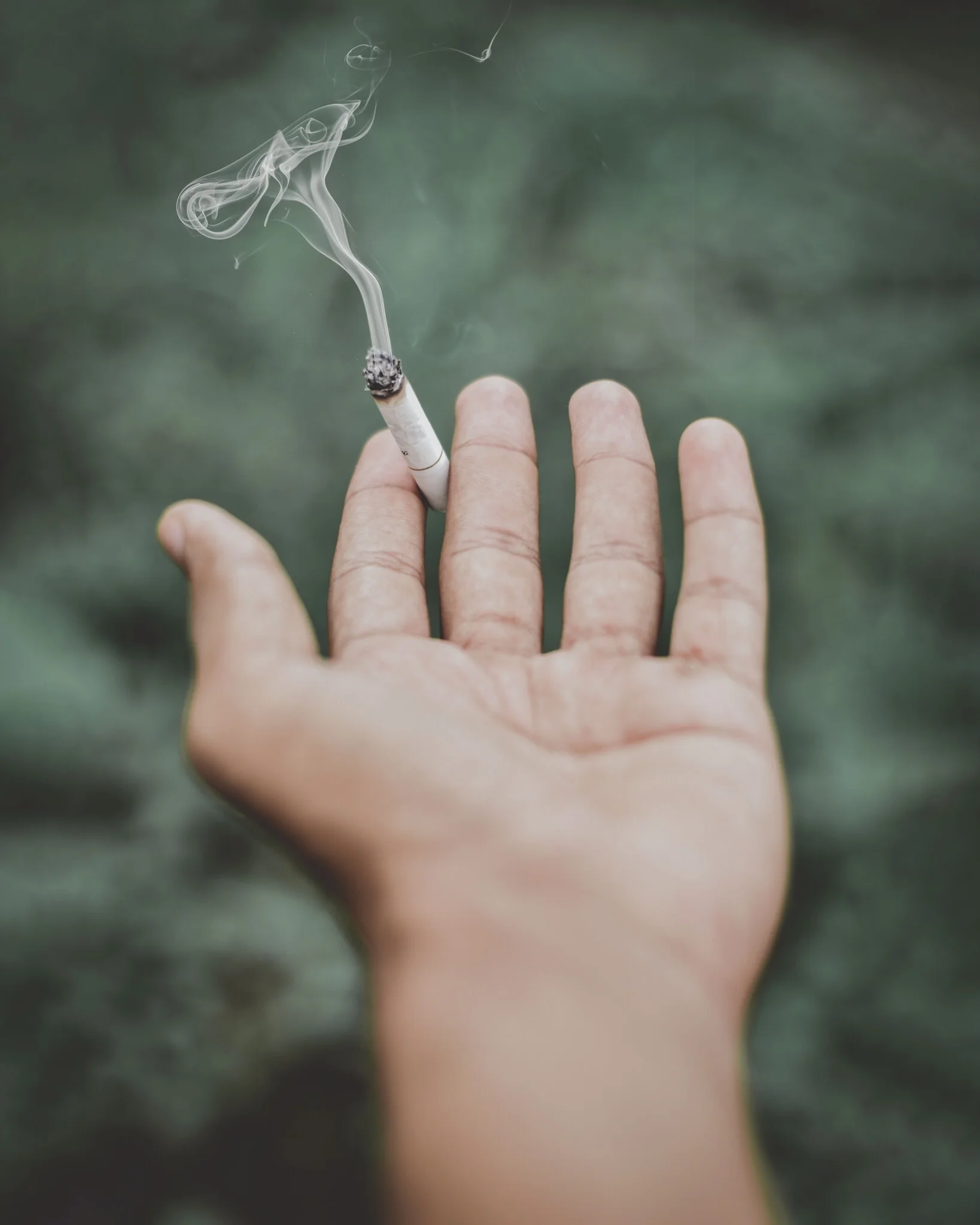Warning! Cigarette Smoking is Dangerous To Your Environment