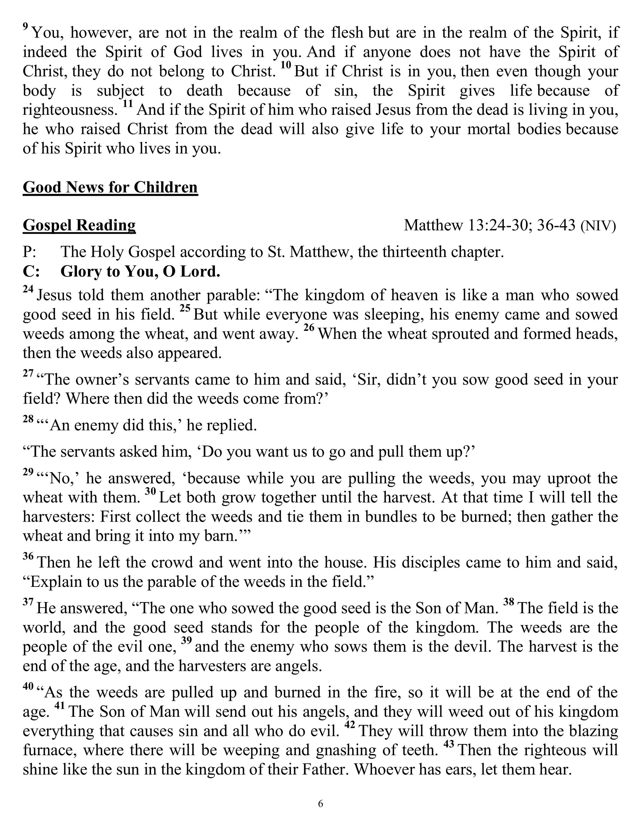 07 19 2026 Eighth Sunday after Pentecost-images-5.jpg