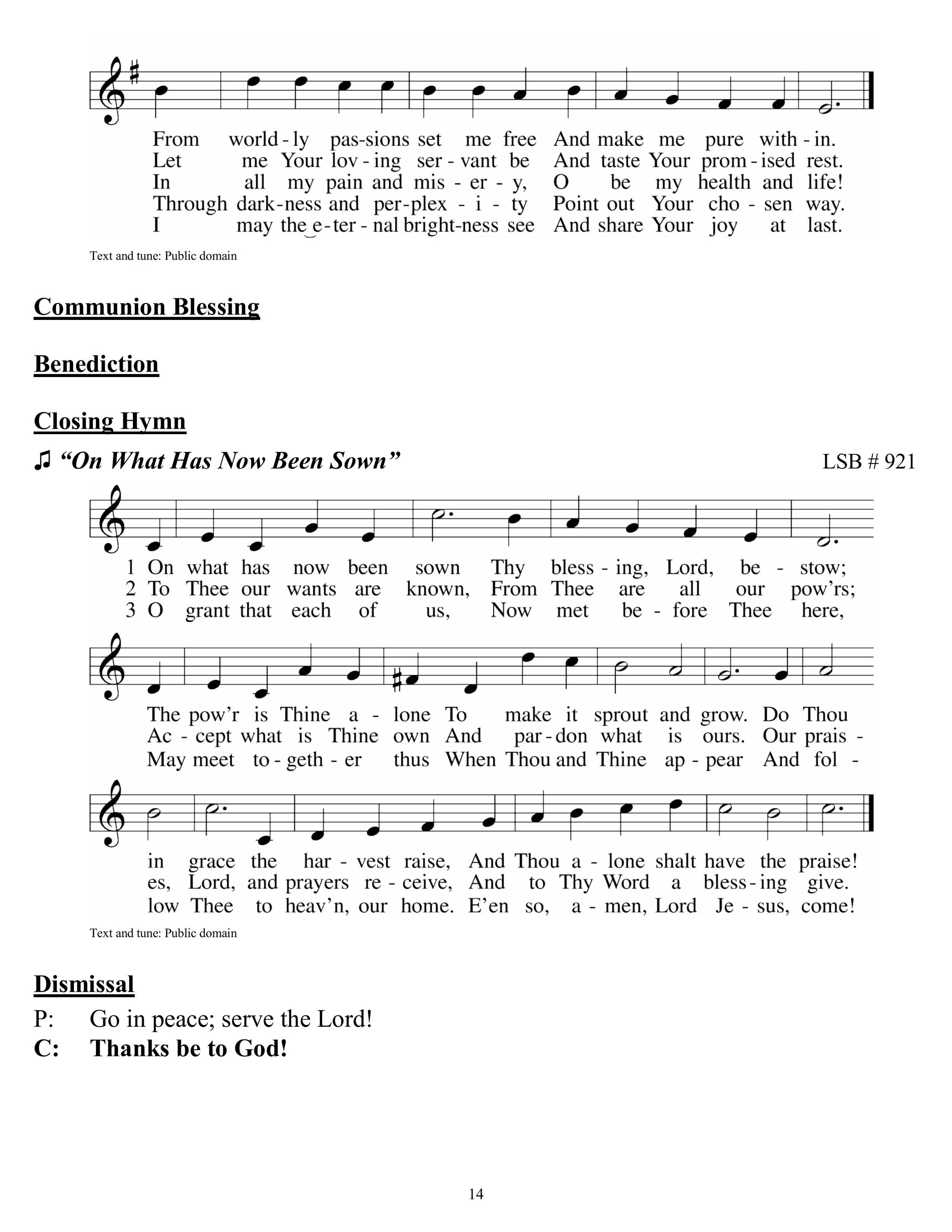 08 02 2026 Tenth Sunday after Pentecost-images-13.jpg