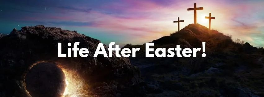 WEBSITE Title Image.jpg