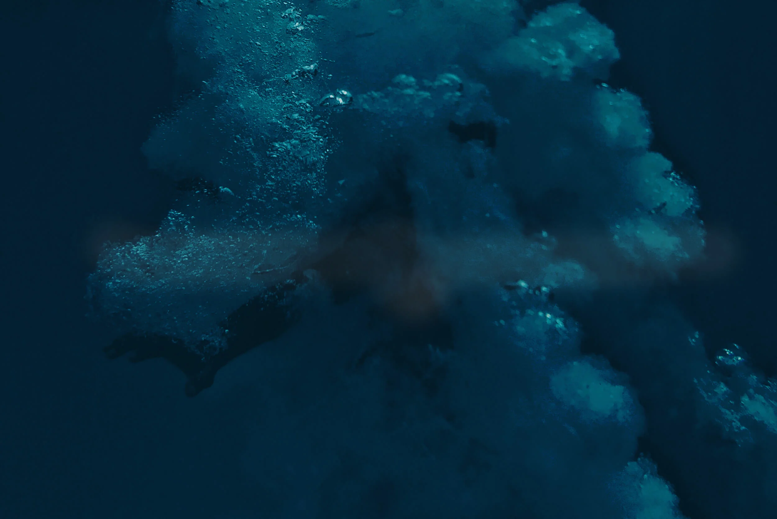 Underwater copy.jpg