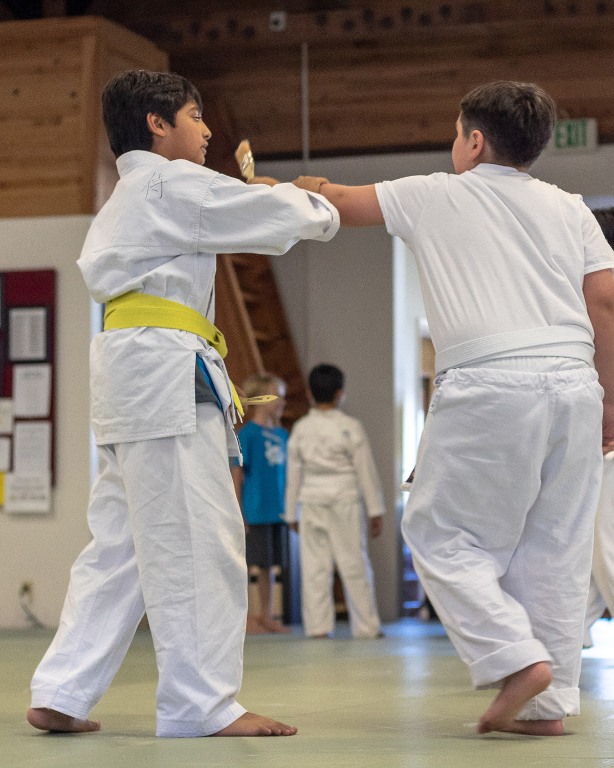 AikidoReno-Youth-class.jpg