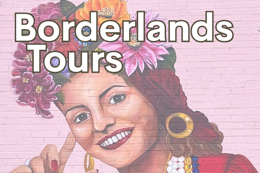 Image of a mural on brick wall. The background is light pink and the subject is Maria Felix. She is smiling with flowers in her hair.. Text across the image reads "Borderlands Tours"