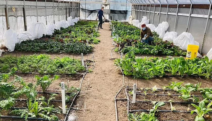Inside Greenhouse.jpg