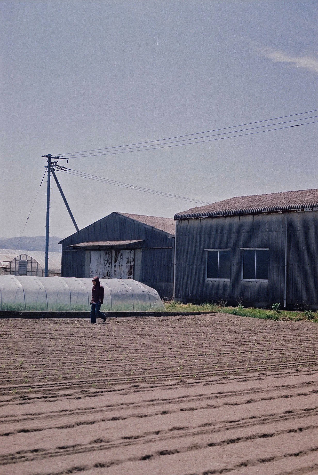 ws_photo_1c.jpg