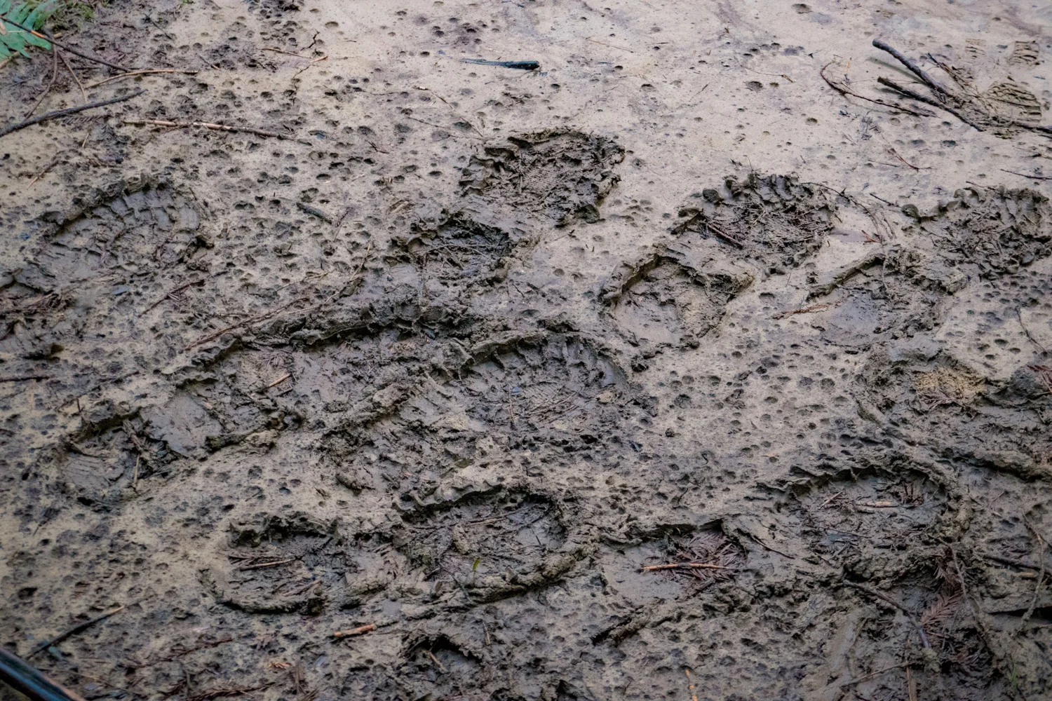 The heavy toll of visitors to the falls with muddy footprints and paths carved throughout the location.