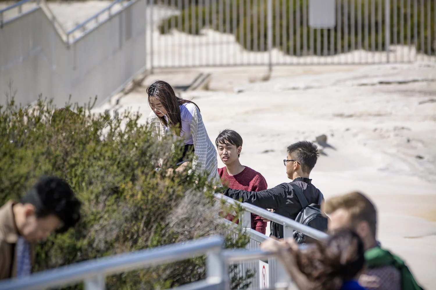 These visitors had photos in mind and referenced other instagram photos and WeChat images as inspiration.
